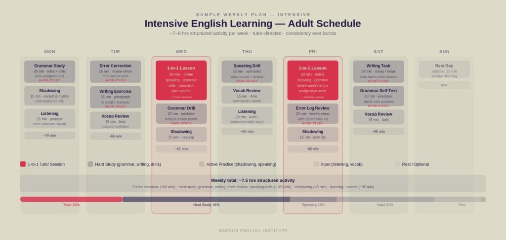 weekly study plan for fast English learning as an adult